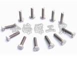 titanium bolts,nuts,washers - titanium fastener