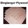 bingtangor plywood