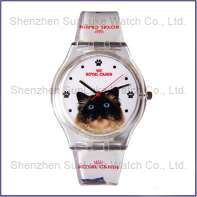 Gift Plastic watch