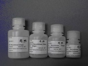 HCV recombinant antigen