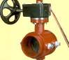 Grooved-end Butterfly Valve