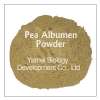 Pea Albumen Powder