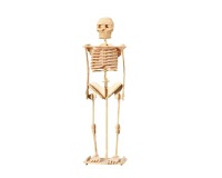 3D puzzle wooden toy - Skeleton