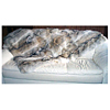 Mink Sable Fox Chinchilla Sable beaver Coyote Lynx - Fur Bedspreads