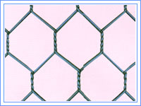 Hebei Wire Mesh & Filter Products Co.,Ltd