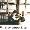 Inspection & Services - P01