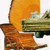 Sawn Timber, Wood & and Furniture