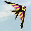 7 feet stunt kite (Swallow kite) - KT-76-020