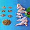 Frozen Poultry, Fishmeal, Shrimp Feed - P07